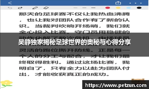 吴静独家揭秘足球世界的奥秘与心得分享