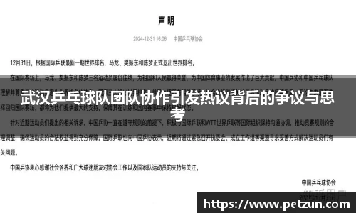 武汉乒乓球队团队协作引发热议背后的争议与思考