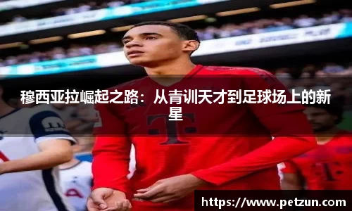 yy易游体育官网